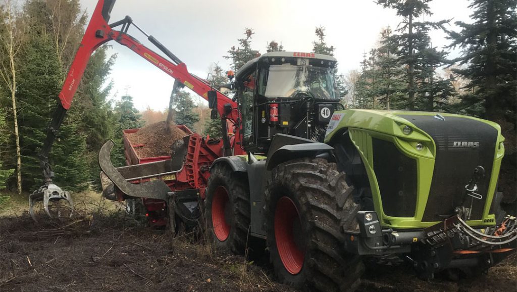 Flishugger på arbejde i skoven